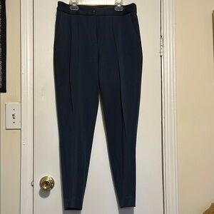 Express navy ankle Pants